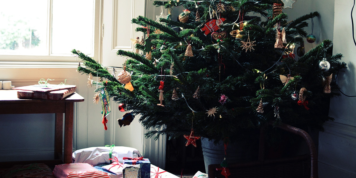 山下 めぐみさんの写真