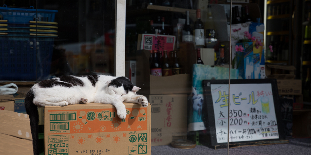 沖 昌之さんの写真