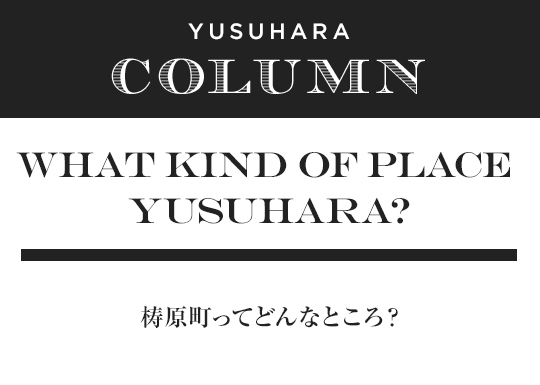 What kind of place yusuhara? 梼原町ってどんなところ？